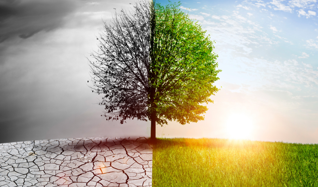 Reinventing Yourself After 20-30 Years – The Career Pivot Nobody Prepares You&nbsp;For