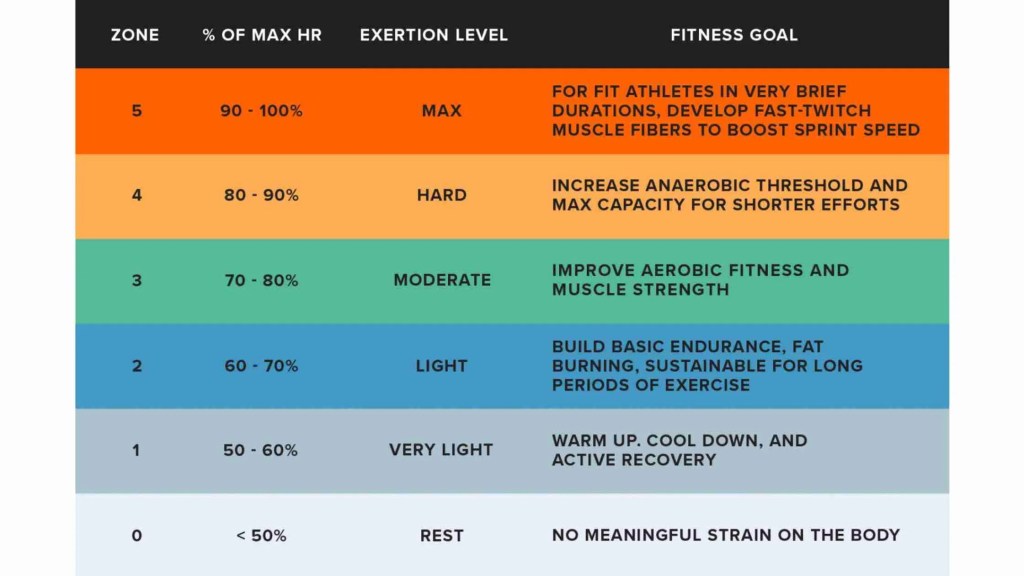 Fitness: No Hype, Just Fundamentals (Macros + Weights + Zone&nbsp;2/3)